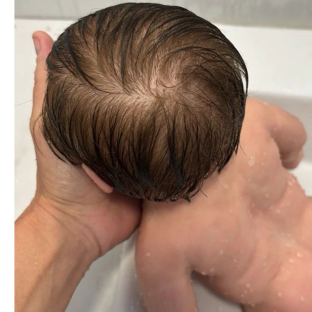 cecilia - br-11134207-81z1k-mhprw25uf75tf9.png